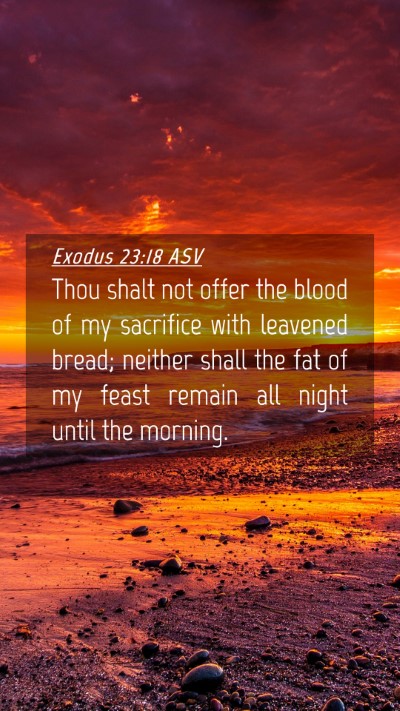 Picture 04 - Exodus 23:18 ASV Mobile Phone Wallpaper - Thou shalt not offer the blood of my sacrifice - Mobile Bible Verse Wallpaper