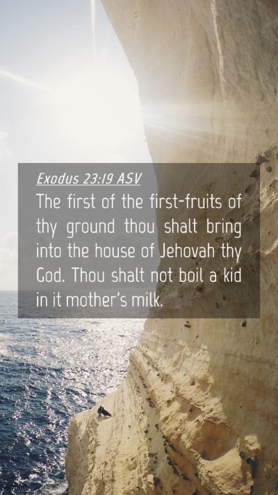 Picture 04 - Exodus 23:19 ASV Mobile Phone Wallpaper - The first of the first-fruits of thy ground thou - Mobile Bible Verse Wallpaper