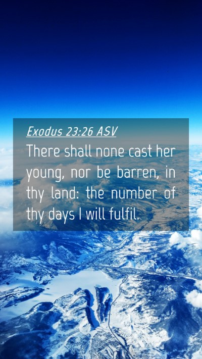 Picture 04 - Exodus 23:26 ASV Mobile Phone Wallpaper - There shall none cast her young, nor be barren, - Mobile Bible Verse Wallpaper