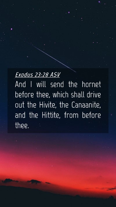 Picture 04 - Exodus 23:28 ASV Mobile Phone Wallpaper - And I will send the hornet before thee, which - Mobile Bible Verse Wallpaper