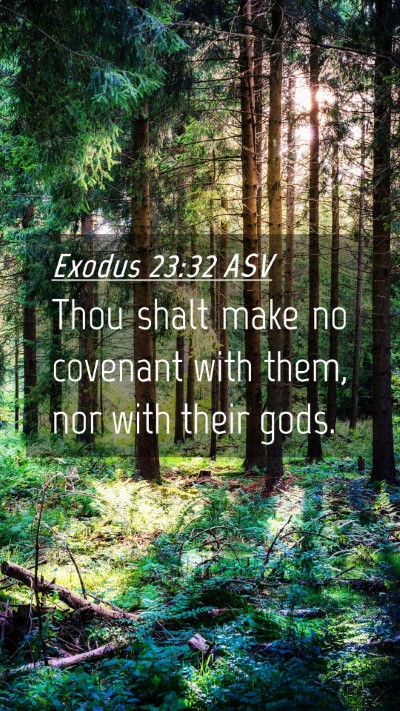 Picture 04 - Exodus 23:32 ASV Mobile Phone Wallpaper - Thou shalt make no covenant with them, nor with - Mobile Bible Verse Wallpaper