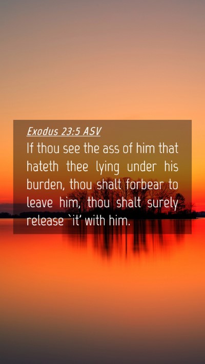 Picture 04 - Exodus 23:5 ASV Mobile Phone Wallpaper - If thou see the ass of him that hateth thee lying - Mobile Bible Verse Wallpaper