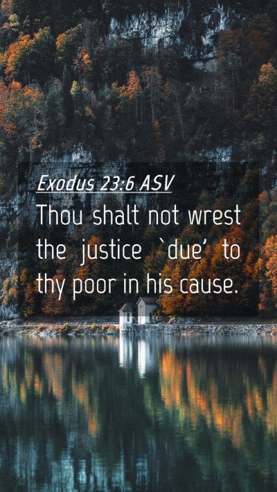 Picture 04 - Exodus 23:6 ASV Mobile Phone Wallpaper - Thou shalt not wrest the justice `due' to thy - Mobile Bible Verse Wallpaper