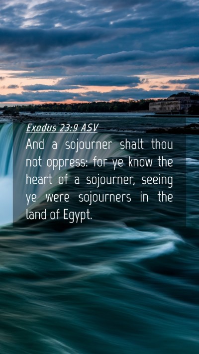 Picture 04 - Exodus 23:9 ASV Mobile Phone Wallpaper - And a sojourner shalt thou not oppress: for ye - Mobile Bible Verse Wallpaper