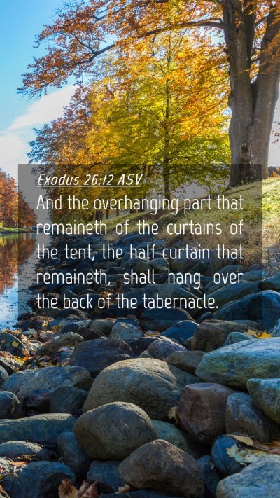 Picture 04 - Exodus 26:12 ASV Mobile Phone Wallpaper - And the overhanging part that remaineth of the - Mobile Bible Verse Wallpaper