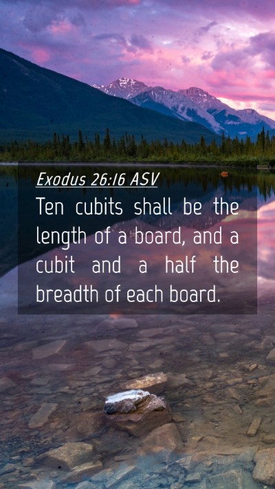 Picture 04 - Exodus 26:16 ASV Mobile Phone Wallpaper - Ten cubits shall be the length of a board, and a - Mobile Bible Verse Wallpaper