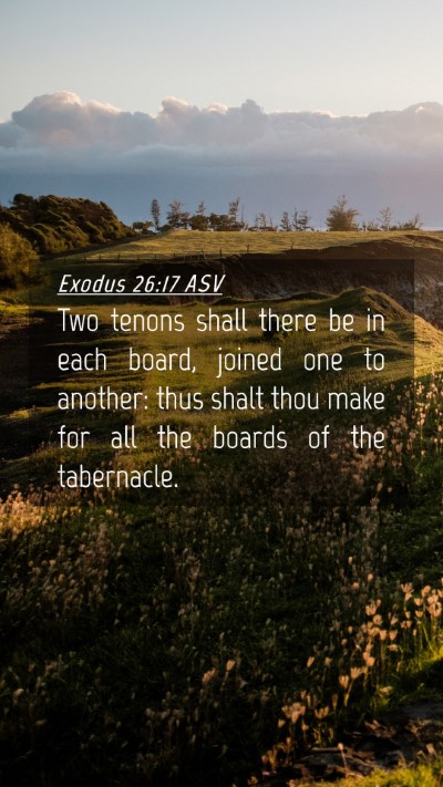 Picture 04 - Exodus 26:17 ASV Mobile Phone Wallpaper - Two tenons shall there be in each board, joined - Mobile Bible Verse Wallpaper