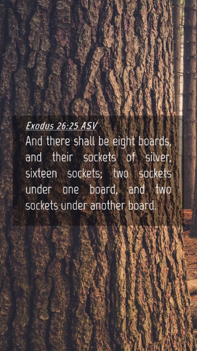 Picture 04 - Exodus 26:25 ASV Mobile Phone Wallpaper - And there shall be eight boards, and their - Mobile Bible Verse Wallpaper