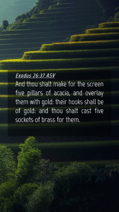 Picture 04 - Exodus 26:37 ASV Mobile Phone Wallpaper - And thou shalt make for the screen five pillars - Mobile Bible Verse Wallpaper