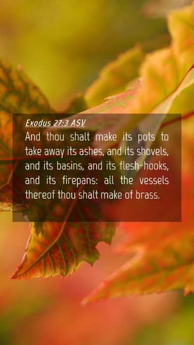 Picture 04 - Exodus 27:3 ASV Mobile Phone Wallpaper - And thou shalt make its pots to take away its - Mobile Bible Verse Wallpaper