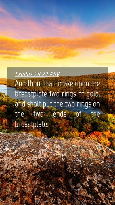 Picture 04 - Exodus 28:23 ASV Mobile Phone Wallpaper - And thou shalt make upon the breastplate two - Mobile Bible Verse Wallpaper