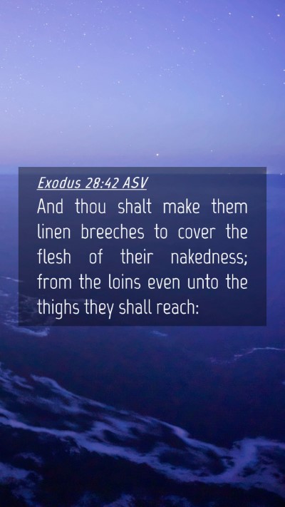 Picture 04 - Exodus 28:42 ASV Mobile Phone Wallpaper - And thou shalt make them linen breeches to cover - Mobile Bible Verse Wallpaper