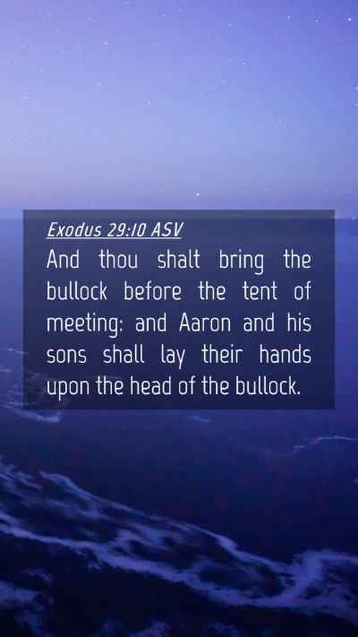 Picture 04 - Exodus 29:10 ASV Mobile Phone Wallpaper - And thou shalt bring the bullock before the tent - Mobile Bible Verse Wallpaper
