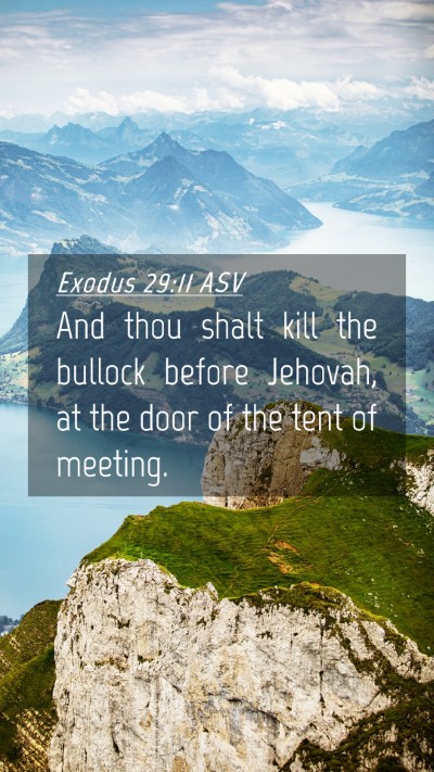 Picture 04 - Exodus 29:11 ASV Mobile Phone Wallpaper - And thou shalt kill the bullock before Jehovah, - Mobile Bible Verse Wallpaper