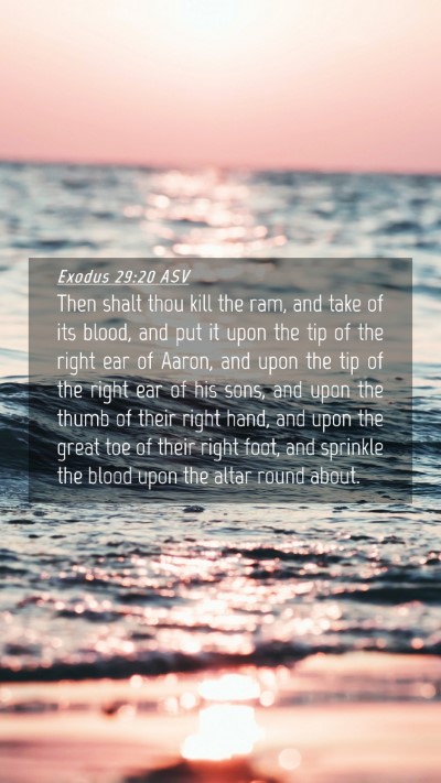 Picture 04 - Exodus 29:20 ASV Mobile Phone Wallpaper - Then shalt thou kill the ram, and take of its - Mobile Bible Verse Wallpaper