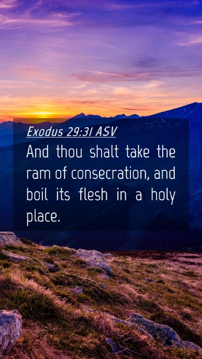 Picture 04 - Exodus 29:31 ASV Mobile Phone Wallpaper - And thou shalt take the ram of consecration, and - Mobile Bible Verse Wallpaper