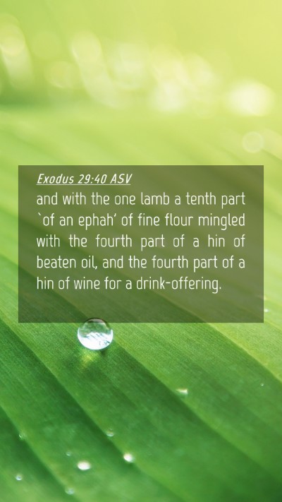 Picture 04 - Exodus 29:40 ASV Mobile Phone Wallpaper - and with the one lamb a tenth part `of an ephah' - Mobile Bible Verse Wallpaper