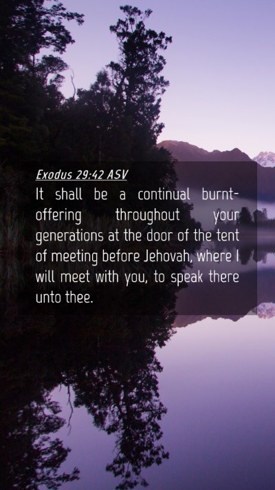 Picture 04 - Exodus 29:42 ASV Mobile Phone Wallpaper - It shall be a continual burnt-offering throughout - Mobile Bible Verse Wallpaper