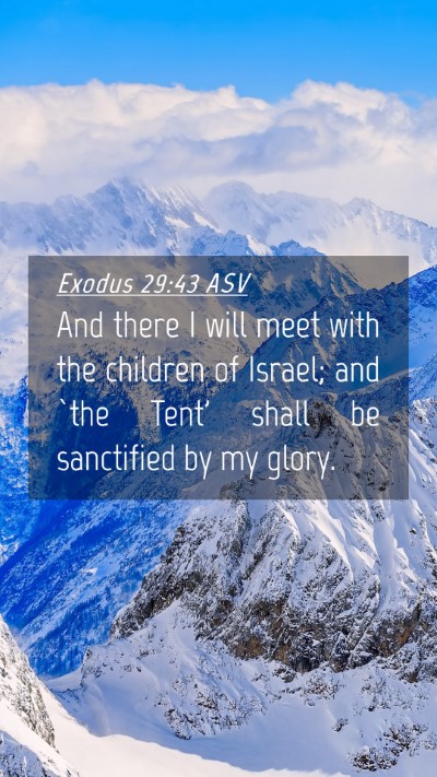 Picture 04 - Exodus 29:43 ASV Mobile Phone Wallpaper - And there I will meet with the children of - Mobile Bible Verse Wallpaper