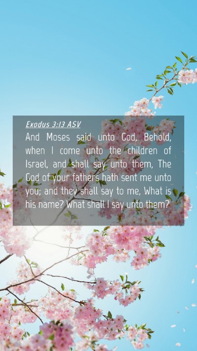 Picture 04 - Exodus 3:13 ASV Mobile Phone Wallpaper - And Moses said unto God, Behold, when I come unto - Mobile Bible Verse Wallpaper