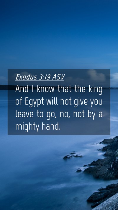 Picture 04 - Exodus 3:19 ASV Mobile Phone Wallpaper - And I know that the king of Egypt will not give - Mobile Bible Verse Wallpaper