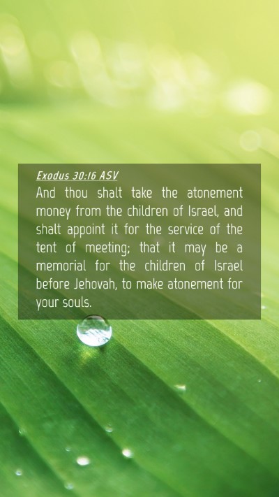 Picture 04 - Exodus 30:16 ASV Mobile Phone Wallpaper - And thou shalt take the atonement money from the - Mobile Bible Verse Wallpaper