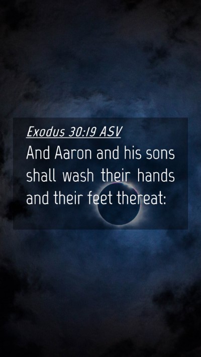 Picture 04 - Exodus 30:19 ASV Mobile Phone Wallpaper - And Aaron and his sons shall wash their hands and - Mobile Bible Verse Wallpaper
