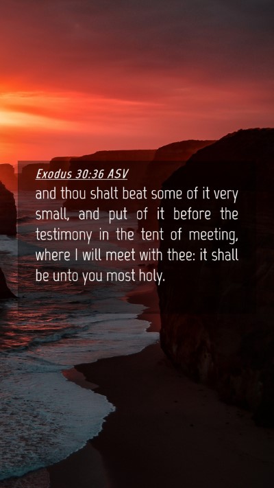 Picture 04 - Exodus 30:36 ASV Mobile Phone Wallpaper - and thou shalt beat some of it very small, and - Mobile Bible Verse Wallpaper
