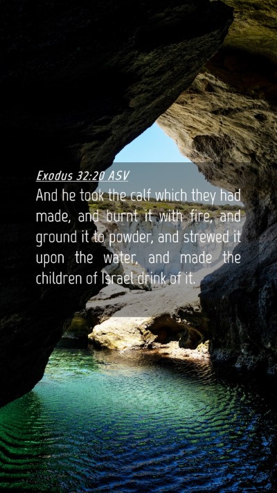 Picture 04 - Exodus 32:20 ASV Mobile Phone Wallpaper - And he took the calf which they had made, and - Mobile Bible Verse Wallpaper
