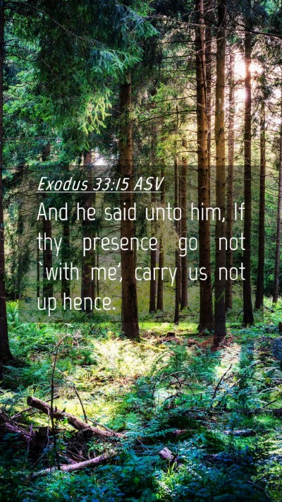 Picture 04 - Exodus 33:15 ASV Mobile Phone Wallpaper - And he said unto him, If thy presence go not - Mobile Bible Verse Wallpaper