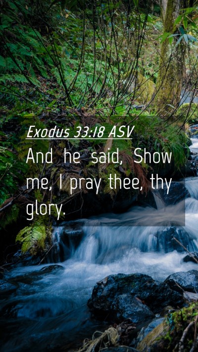 Picture 04 - Exodus 33:18 ASV Mobile Phone Wallpaper - And he said, Show me, I pray thee, thy - Mobile Bible Verse Wallpaper