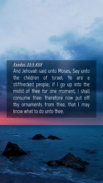 Picture 04 - Exodus 33:5 ASV Mobile Phone Wallpaper - And Jehovah said unto Moses, Say unto the - Mobile Bible Verse Wallpaper
