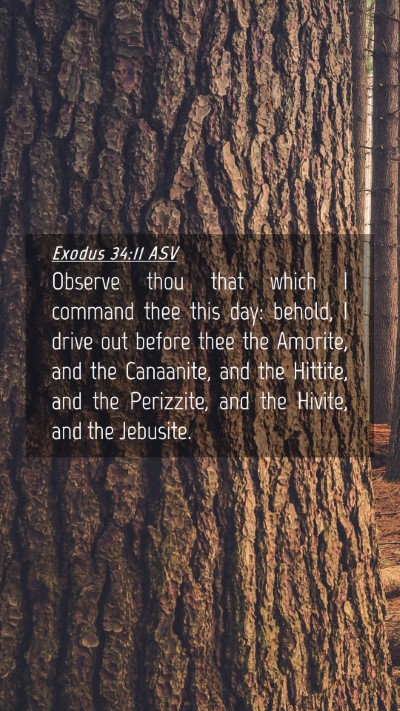 Picture 04 - Exodus 34:11 ASV Mobile Phone Wallpaper - Observe thou that which I command thee this day: - Mobile Bible Verse Wallpaper