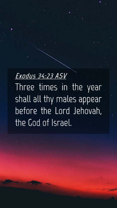 Picture 04 - Exodus 34:23 ASV Mobile Phone Wallpaper - Three times in the year shall all thy males - Mobile Bible Verse Wallpaper