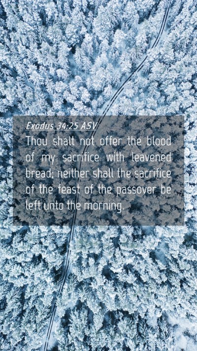 Picture 04 - Exodus 34:25 ASV Mobile Phone Wallpaper - Thou shalt not offer the blood of my sacrifice - Mobile Bible Verse Wallpaper