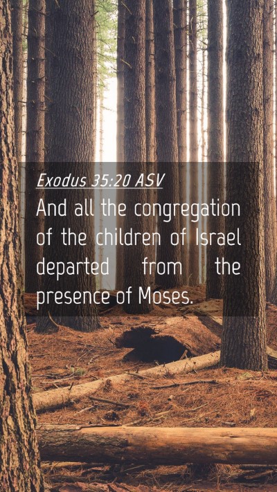 Picture 04 - Exodus 35:20 ASV Mobile Phone Wallpaper - And all the congregation of the children of - Mobile Bible Verse Wallpaper