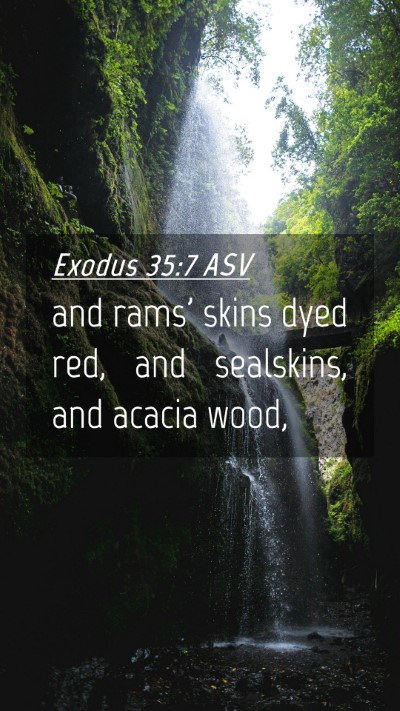 Picture 04 - Exodus 35:7 ASV Mobile Phone Wallpaper - and rams' skins dyed red, and sealskins, and - Mobile Bible Verse Wallpaper