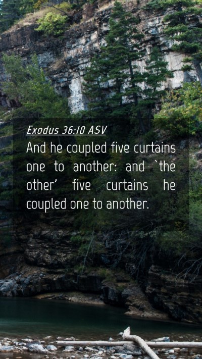 Picture 04 - Exodus 36:10 ASV Mobile Phone Wallpaper - And he coupled five curtains one to another: and - Mobile Bible Verse Wallpaper