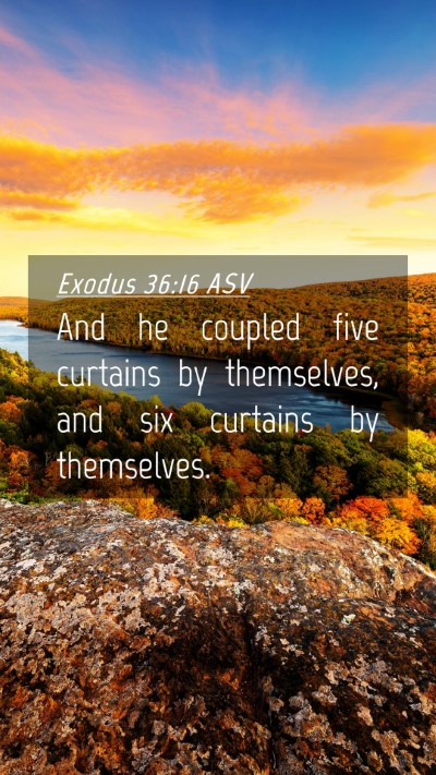Picture 04 - Exodus 36:16 ASV Mobile Phone Wallpaper - And he coupled five curtains by themselves, and - Mobile Bible Verse Wallpaper