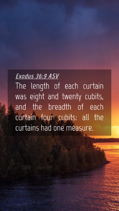 Picture 04 - Exodus 36:9 ASV Mobile Phone Wallpaper - The length of each curtain was eight and twenty - Mobile Bible Verse Wallpaper