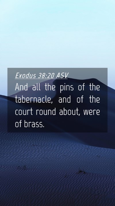 Picture 04 - Exodus 38:20 ASV Mobile Phone Wallpaper - And all the pins of the tabernacle, and of the - Mobile Bible Verse Wallpaper