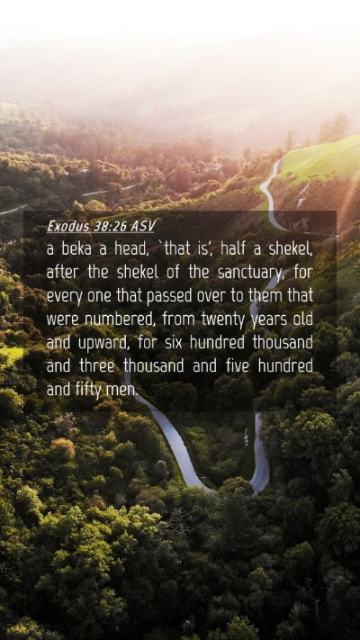 Picture 04 - Exodus 38:26 ASV Mobile Phone Wallpaper - a beka a head, `that is', half a shekel, after - Mobile Bible Verse Wallpaper