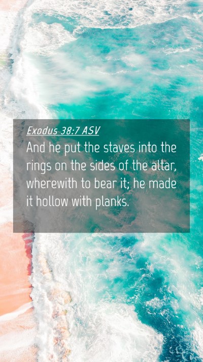 Picture 04 - Exodus 38:7 ASV Mobile Phone Wallpaper - And he put the staves into the rings on the sides - Mobile Bible Verse Wallpaper