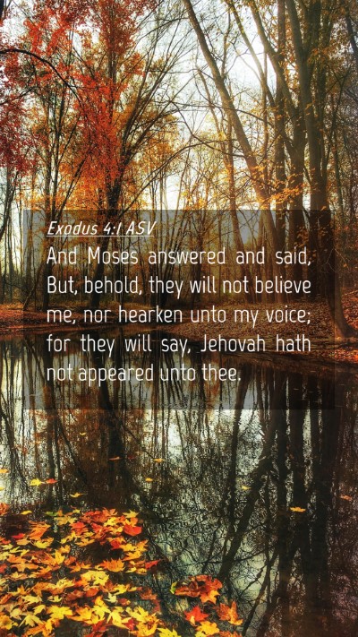 Picture 04 - Exodus 4:1 ASV Mobile Phone Wallpaper - And Moses answered and said, But, behold, they - Mobile Bible Verse Wallpaper
