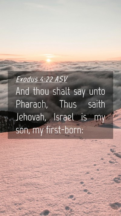 Picture 04 - Exodus 4:22 ASV Mobile Phone Wallpaper - And thou shalt say unto Pharaoh, Thus saith - Mobile Bible Verse Wallpaper