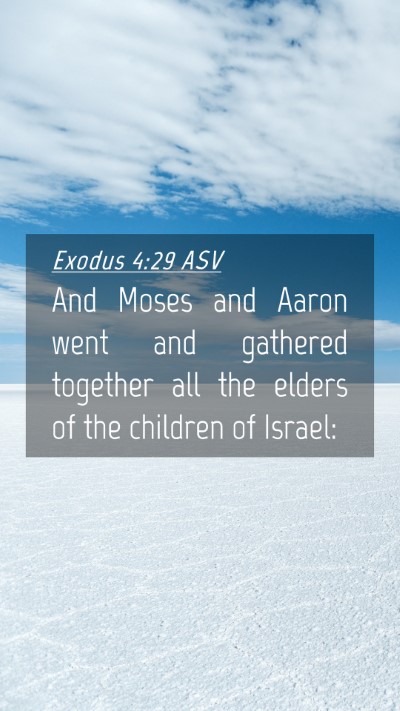 Picture 04 - Exodus 4:29 ASV Mobile Phone Wallpaper - And Moses and Aaron went and gathered together - Mobile Bible Verse Wallpaper