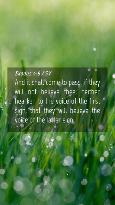 Picture 04 - Exodus 4:8 ASV Mobile Phone Wallpaper - And it shall come to pass, if they will not - Mobile Bible Verse Wallpaper