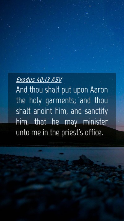 Picture 04 - Exodus 40:13 ASV Mobile Phone Wallpaper - And thou shalt put upon Aaron the holy garments; - Mobile Bible Verse Wallpaper