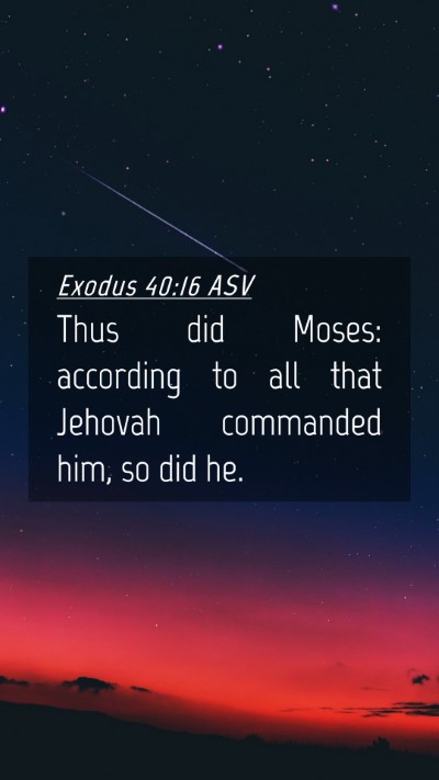 Picture 04 - Exodus 40:16 ASV Mobile Phone Wallpaper - Thus did Moses: according to all that Jehovah - Mobile Bible Verse Wallpaper