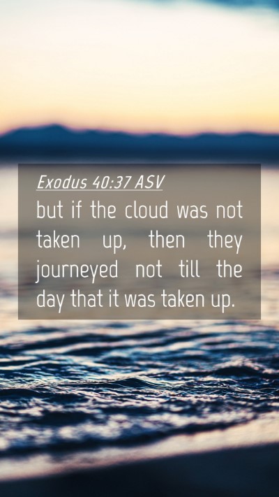 Picture 04 - Exodus 40:37 ASV Mobile Phone Wallpaper - but if the cloud was not taken up, then they - Mobile Bible Verse Wallpaper